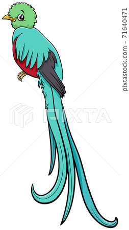 cartoon quetzal bird comic animal character 71640471