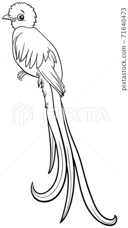 Download Cartoon Quetzal Bird Comic Animal Character Stock Illustration 71640473 Pixta