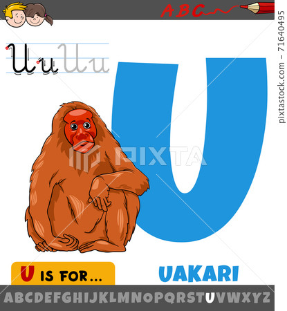 letter U from alphabet with cartoon uakari animal - Stock Illustration  [71640495] - PIXTA