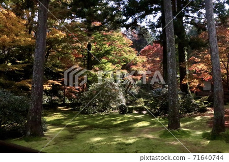 [京都]秋天的景色 71640744