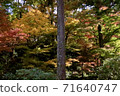 [京都]秋天的景色 71640747