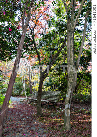 Rakanji Temple in Kasai City, Hyogo Prefecture 71641001
