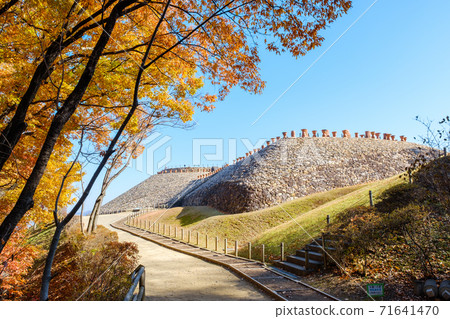 森津將軍 71641470