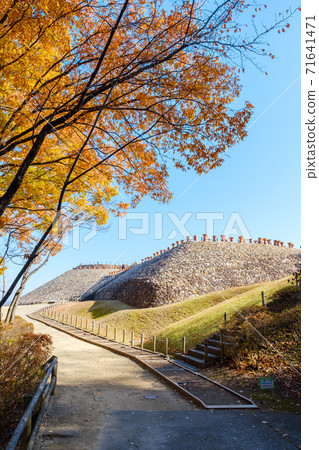 森津將軍 71641471