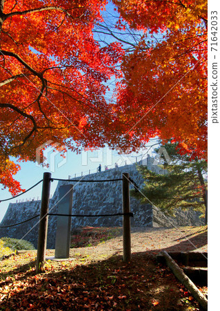楓樹/秋天葛飾公園（福島縣日本松市） 71642033
