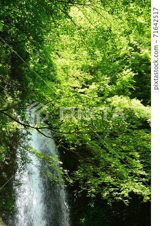 Iga City (Mie Prefecture) Shirafuji Falls Iga City (Mie Prefecture) Shirafuji Falls 71642517