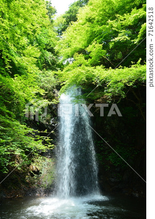 Iga City (Mie Prefecture) Shirafuji Falls 71642518
