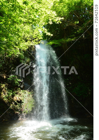 Iga City (Mie Prefecture) Shirafuji Falls 71642519