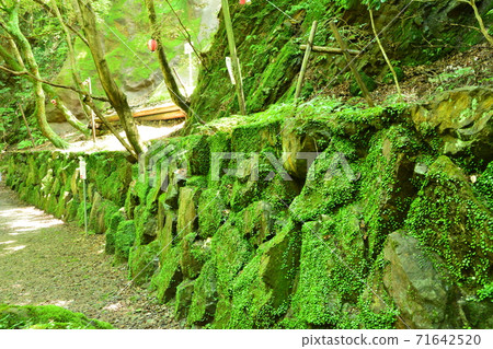 Iga City (Mie Prefecture) Shirafuji Falls Iga City (Mie Prefecture) Shirafuji Falls 71642520