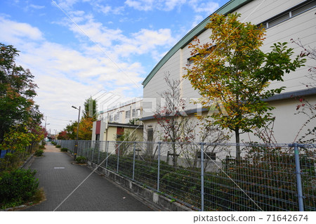 Adachi Ward Takano Elementary School 09 School Road and School Building 71642674