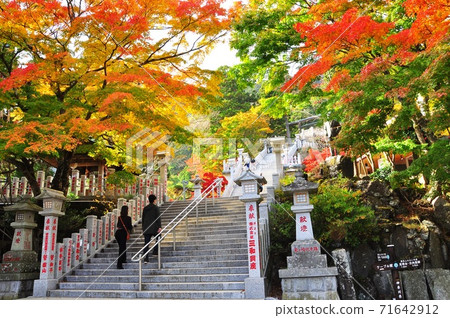 Isehara City: The approach stairs and signs in the precincts of Oyama Afuri Shrine (Shimosha) covered with autumn leaves 71642912