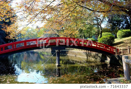 Autumn colors, healing walks, enjoyable autumn leaves scenery Autumn colors, healing walks, enjoyable autumn leaves scenery 71643337