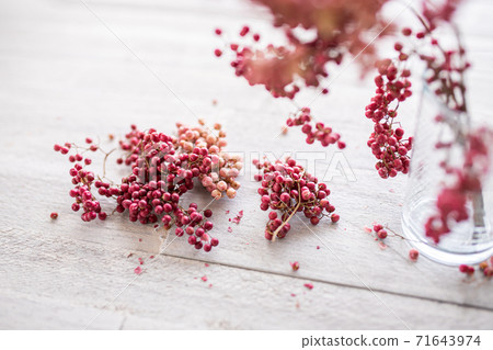 Pink pepper white background Pink pepper white background 71643974