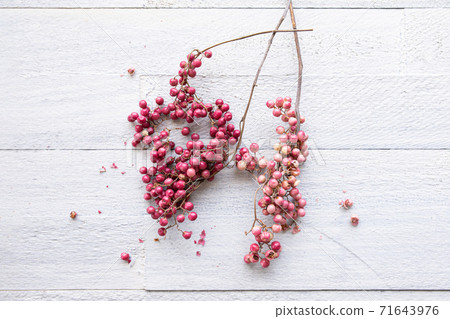 Pink pepper white background Pink pepper white background 71643976
