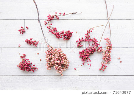 Pink pepper white background Pink pepper white background 71643977