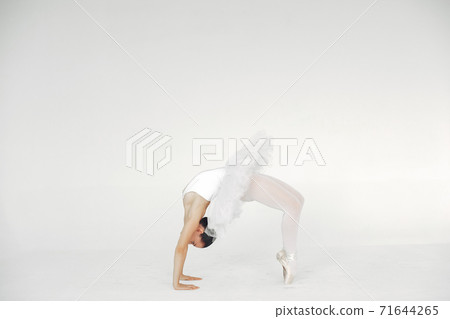 Ballerina posing in front of white background 71644265