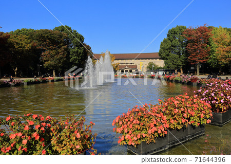 Tokyo walk: A large fountain in Ueno Onshi Park Tokyo walk: A large fountain in Ueno Onshi Park 71644396