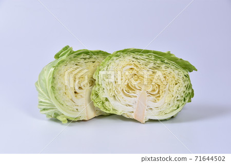 Cabbage Cabbage 71644502