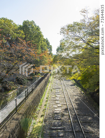 Rake Ink Line 71644635