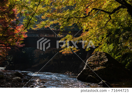 Kuroson Gorge in autumn colors Kuroson Gorge in autumn colors 71644725