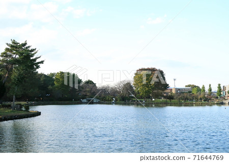 水木公園 71644769