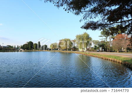 Mizuki Park 71644770