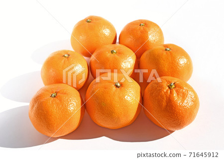 Mandarin orange (Saikai mandarin orange) 71645912