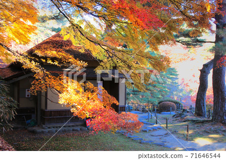Ashigajo Park in autumn (Fukushima Prefecture, Nihonmatsu City) 71646544