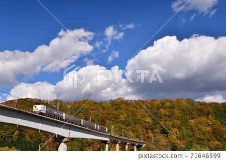 Limited express train running on the autumnal Sekisho line Limited express train running on the autumnal Sekisho line 71646599