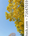 Autumn leaves and blue sky 71647039
