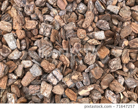 Bark tip Bark tip 71647257