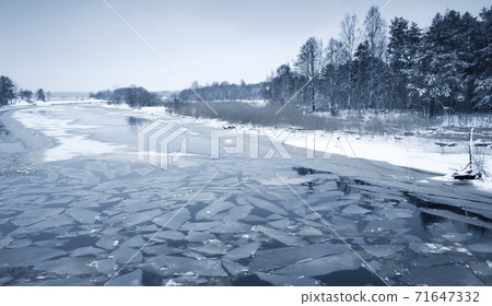 Winter landscape with forest at a river coast 71647332