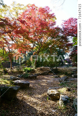 1483年第7代松本浩四郎別墅工地 1483年第7代松本浩四郎別墅工地 71647415