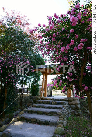 1482第七屆松本浩四郎別墅遺址 1482第七屆松本浩四郎別墅遺址 71647416