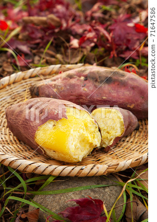  Sweet potato 71647586