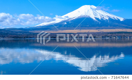 Mt. Fuji in winter (from the shore of Lake Yamanaka) Mt. Fuji in winter (from the shore of Lake Yamanaka) 71647644