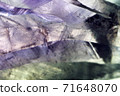 具有超微距1的礦物標本紫水晶的透明攝影 71648070