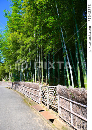 Takemichi Muko Takemichi Muko 71648278