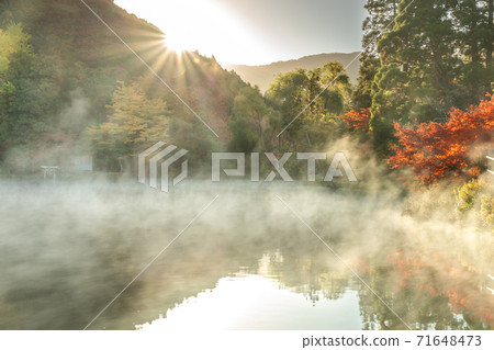 金樂湖和晨霧 金樂湖和晨霧 71648473