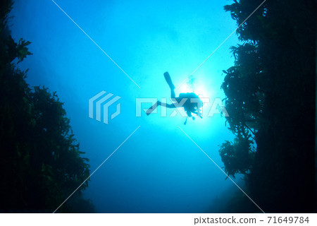 游泳潛水員 游泳潛水員 71649784
