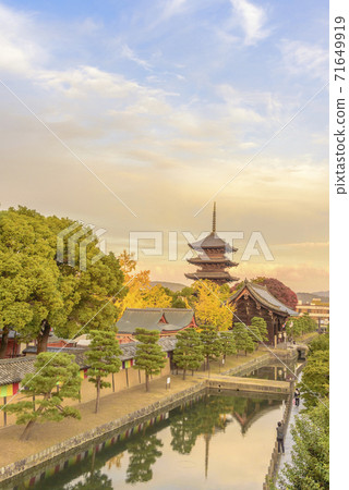 Kyoto Toji Five-storied Pagoda in the evening 71649919