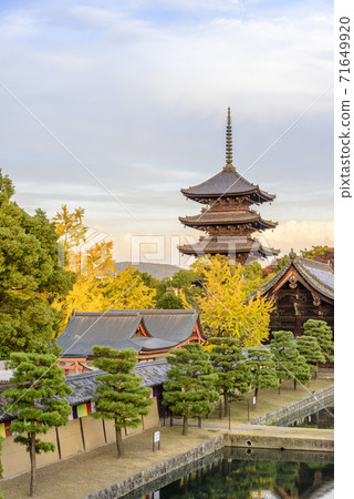 晚上的京都東寺五層塔 晚上的京都東寺五層塔 71649920