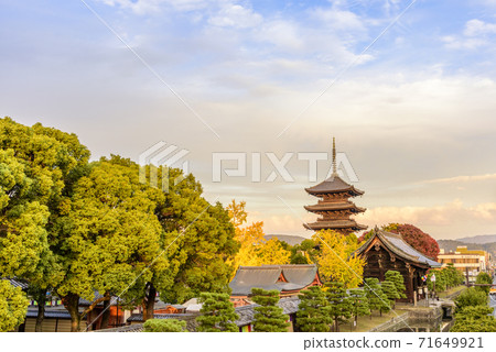 晚上的京都東寺五層塔 晚上的京都東寺五層塔 71649921
