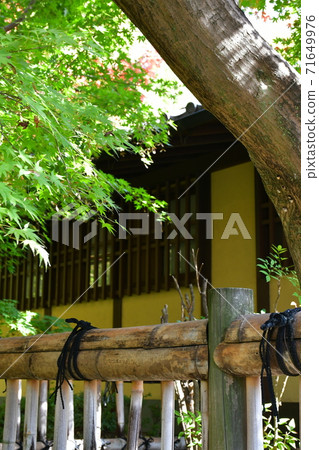 Autumn leaves near Jozanen Shisenkaku 71649976