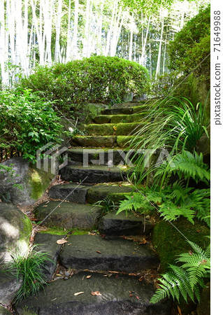 Autumn leaves near Jozanen Shisenkaku Autumn leaves near Jozanen Shisenkaku 71649988