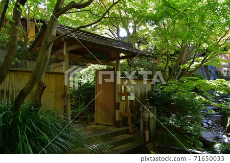 Autumn leaves near Jozanen Shisenkaku Autumn leaves near Jozanen Shisenkaku 71650033