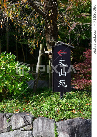 Autumn leaves near Jozanen Shisenkaku Autumn leaves near Jozanen Shisenkaku 71650066