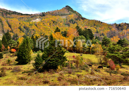 從山田牧場看到的近畿秋葉 71650640