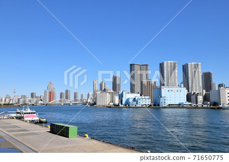 從東京竹芝碼頭往筑波島的景色 從東京竹芝碼頭往筑波島的景色 71650775