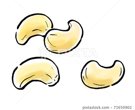 Food illustration nuts cashew nuts 71650902